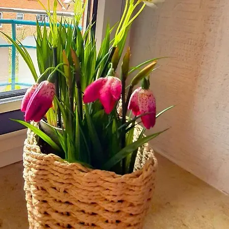 Huus An't Diek Apartment Schillig